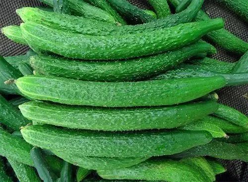 黄瓜咸菜腌制方法