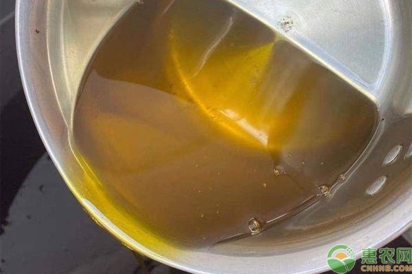 广西茶油果多少钱一斤