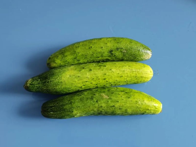 The pickle pickle method