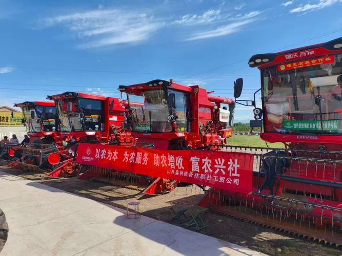 中国粮油网行情免费