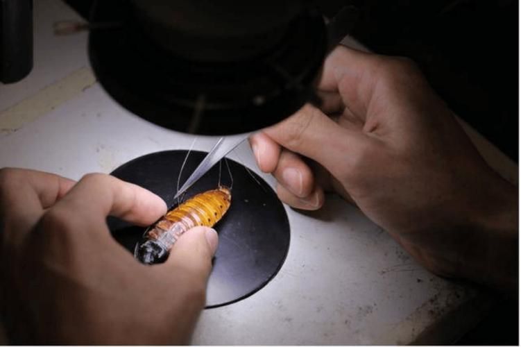大学生机器人制作原理