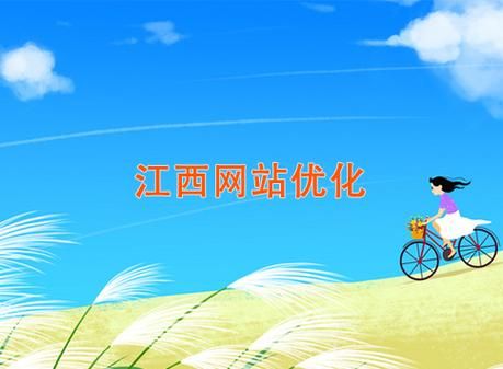 南昌seo优化