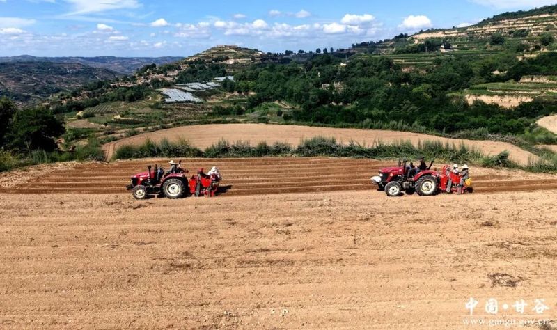 Recent potato cultivation techniques
