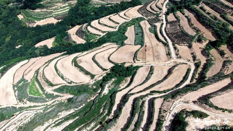 Recent potato cultivation techniques