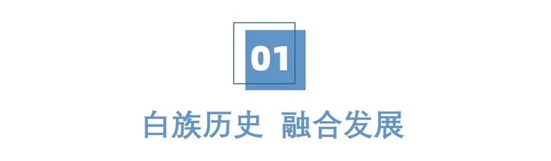 白族的建筑特点