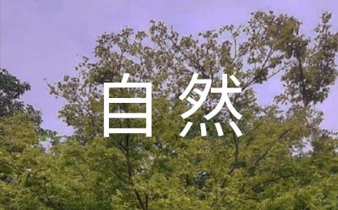 seo关键词排名定做