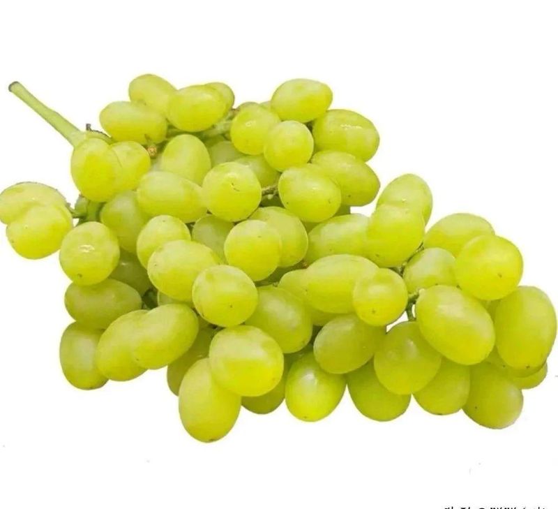 Wine knowledge