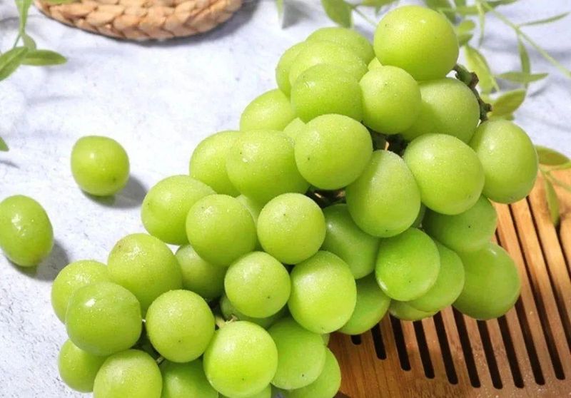 Wine knowledge