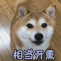 碳酸氢钠滴耳液多少钱