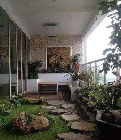 阳台葡萄树的种植方法