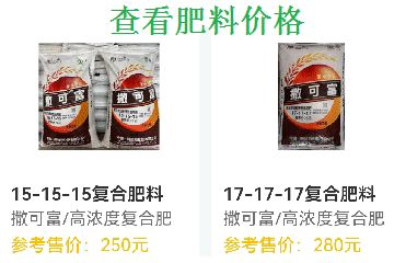Plantation techniques and prices