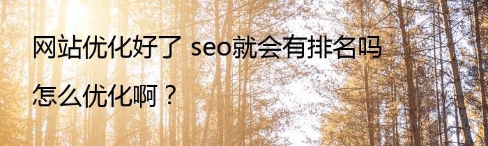 seo闪电精灵怎么样