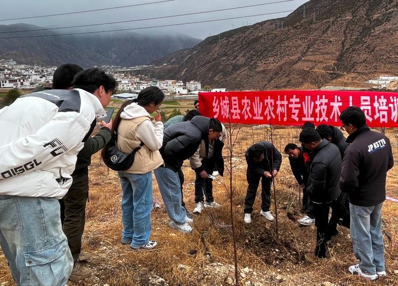 种植技术培训计划