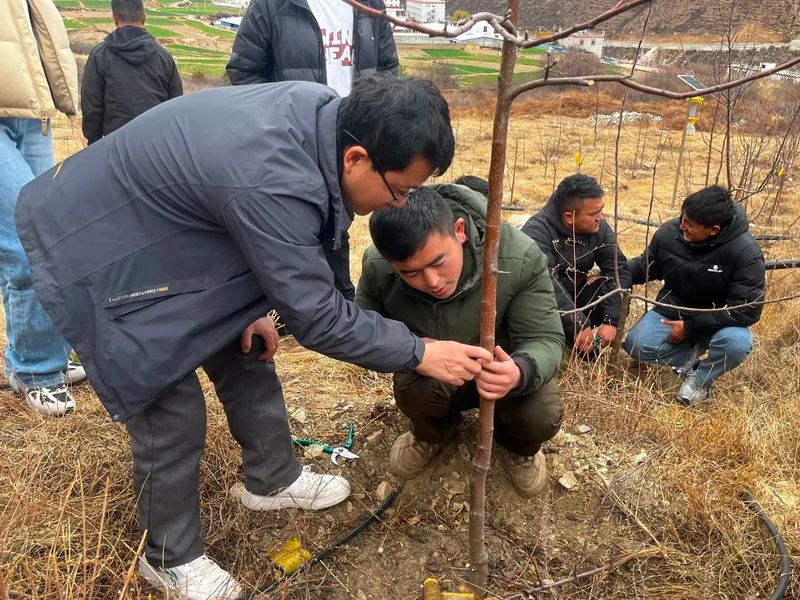 种植技术培训计划