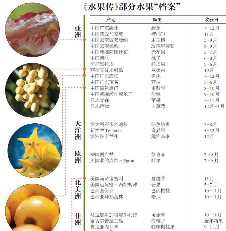 神秘果 种植技术