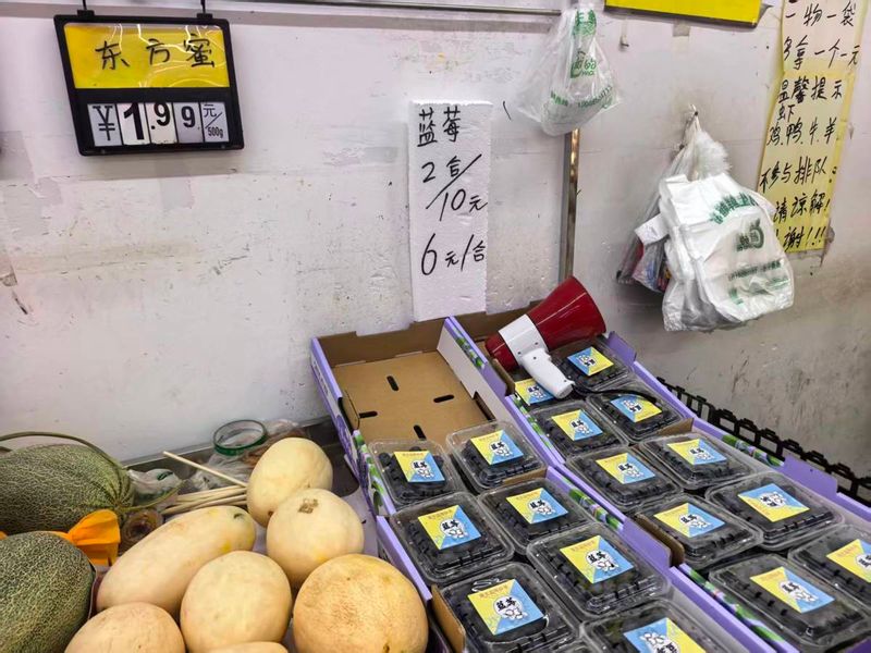 海南特色水果种植