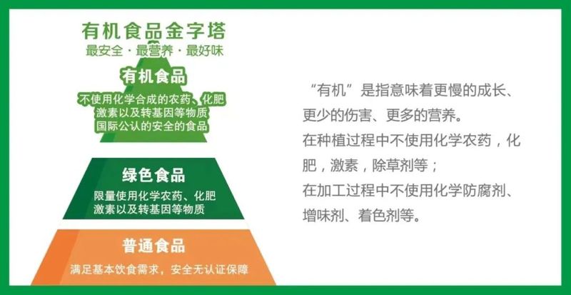 冰草种植方法