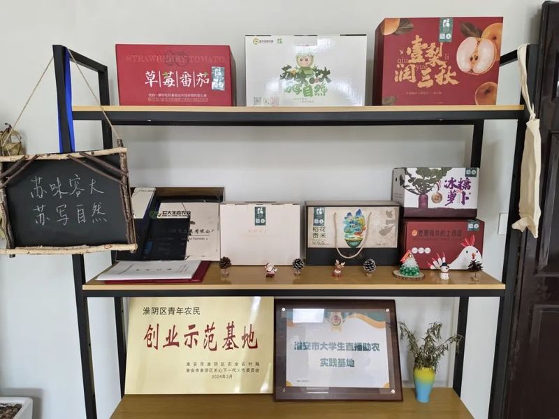 冰草种植方法