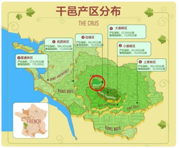 拿破仑xo价格