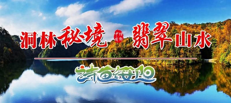 林下板蓝根种植技术
