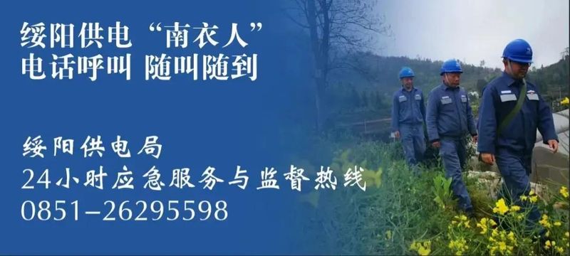 林下板蓝根种植技术