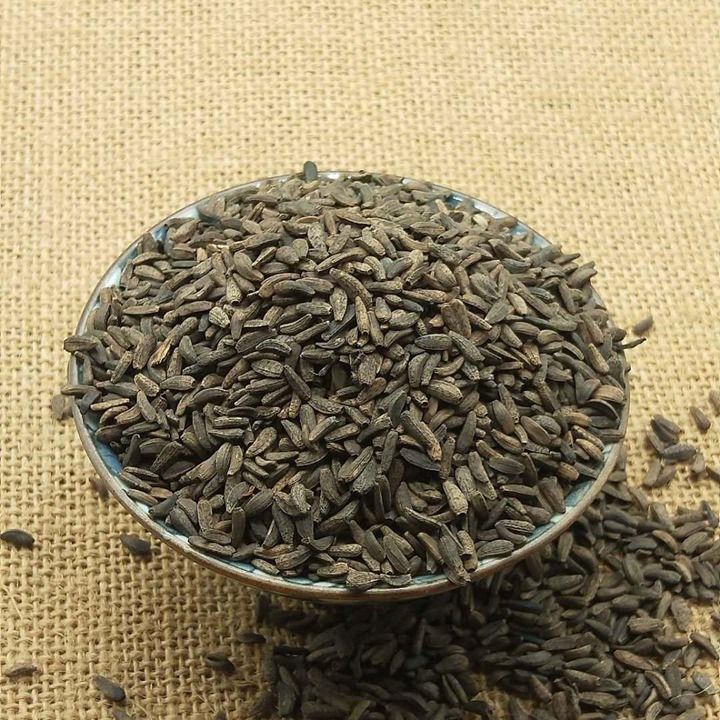 牛子药材的种植技术