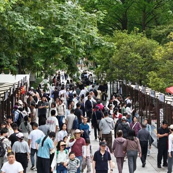 上海欢乐谷门票多少钱2026