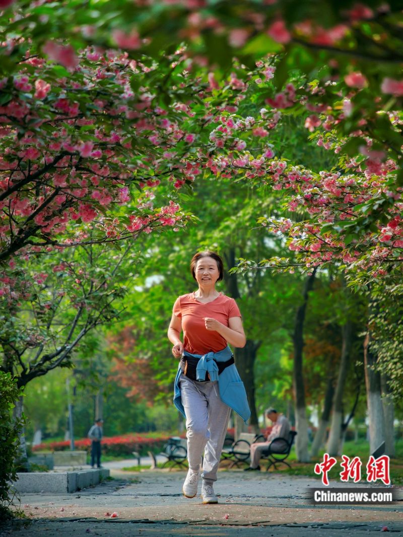 蚌埠睿承知识产权服务有限公司