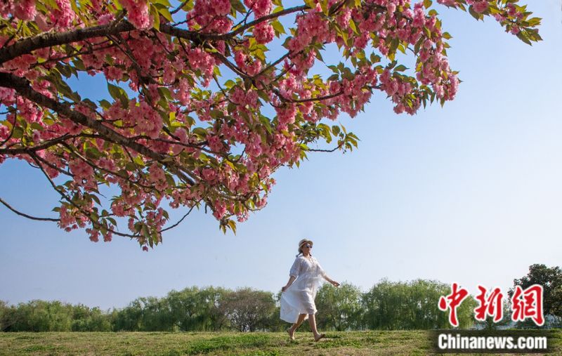蚌埠睿承知识产权服务有限公司