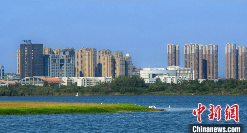 蚌埠睿承知识产权服务有限公司