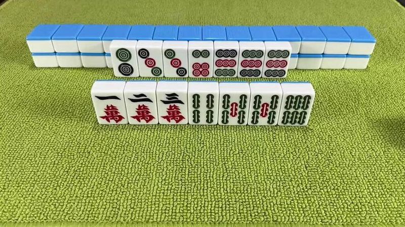 The term mahjong english