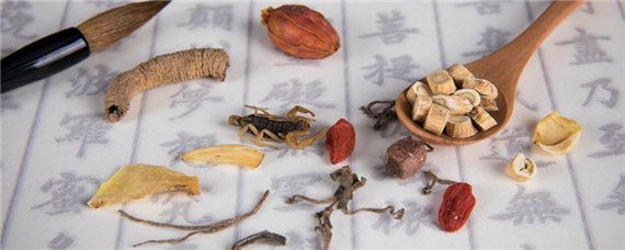 穿心莲的种植方法
