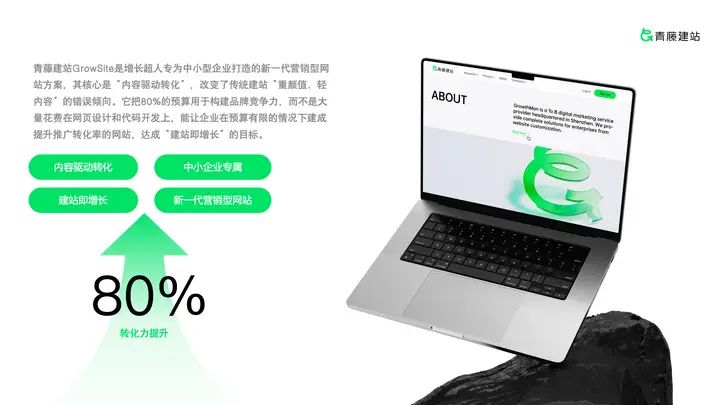 Chinese website ranking network