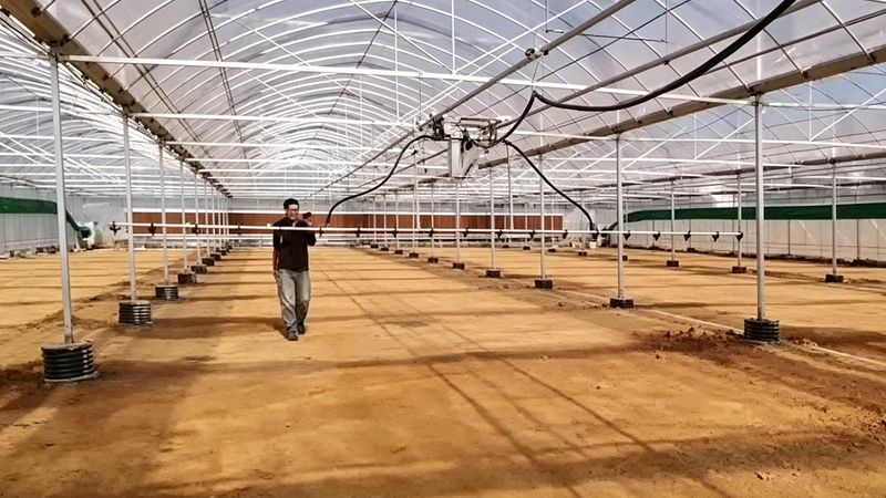温室大棚蔬菜种植技术