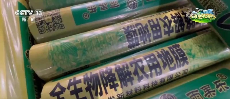 地膜种植技术