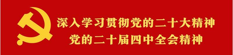 沿河板场镇：翠叶满枝采收忙 银杏产业助振兴