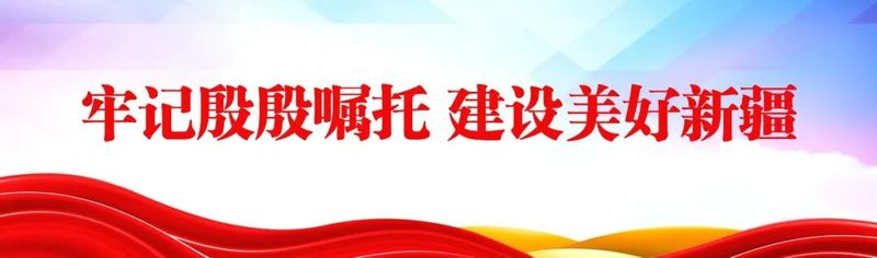 护好“来年果”！英吉沙县抓实杏树采后管护