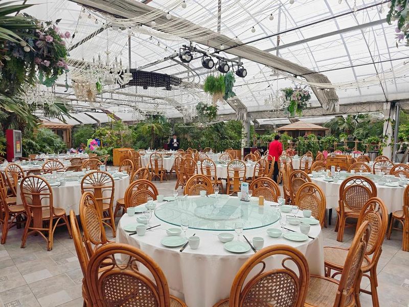 Vegetable growing techniques in greenhouses