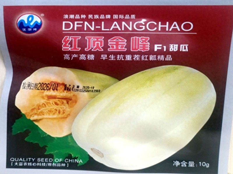 西瓜种植方法教程图片
