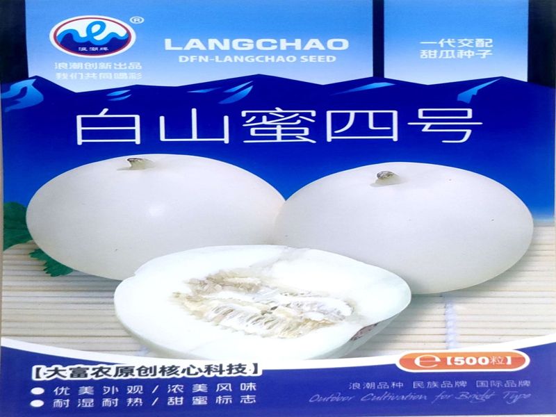 西瓜种植方法教程图片