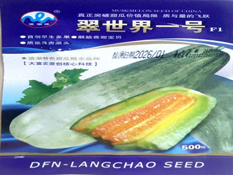 西瓜种植方法教程图片