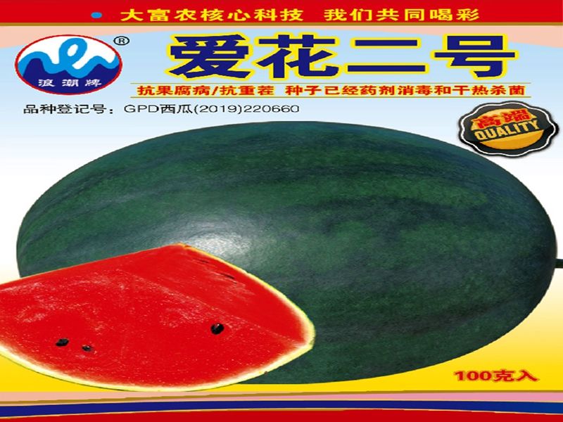 西瓜种植方法教程图片