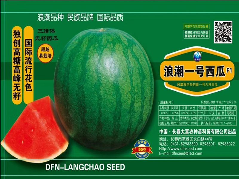 西瓜种植方法教程图片