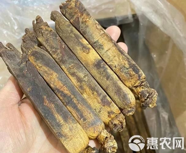 别直参价格