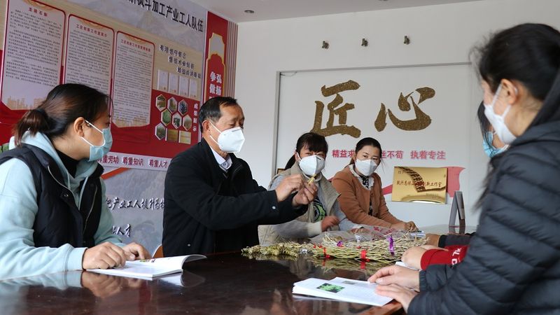 石斛的种植方法及繁殖
