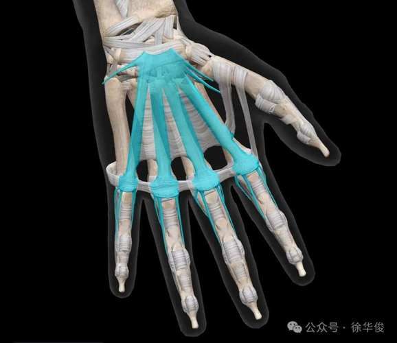 Maintenance of hands and white methods