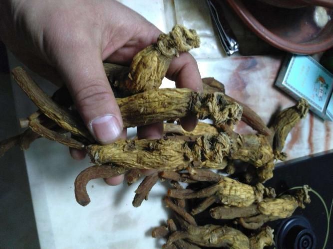 高丽参的价格_20?别直参和红参的区别