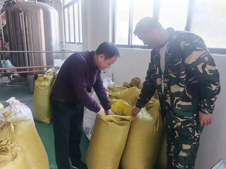 石斛的种植方法及繁殖
