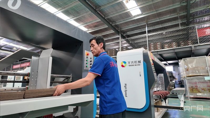 Technology for the cultivation of black nuts