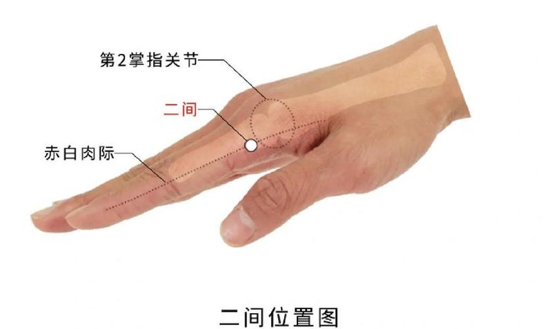 手的保养和美白方法